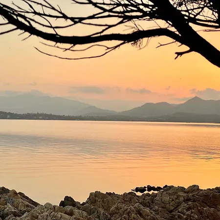 Punta Est Trilocale Meravigliosa Vista Mare * Капо-Кода-Кавальо