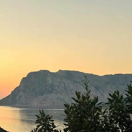 Punta Est Trilocale Meravigliosa Vista Mare *