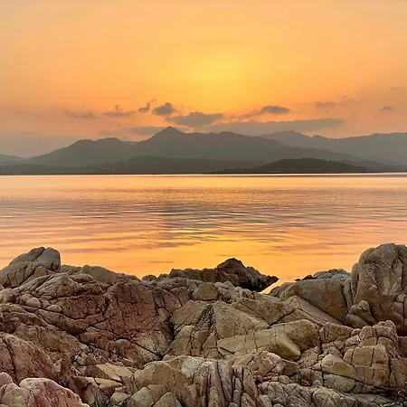 Punta Est Trilocale Meravigliosa Vista Mare *
