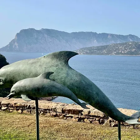 Punta Est Trilocale Meravigliosa Vista Mare Capo Coda Cavallo