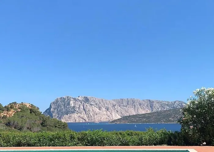 Punta Est Trilocale Meravigliosa Vista Mare *