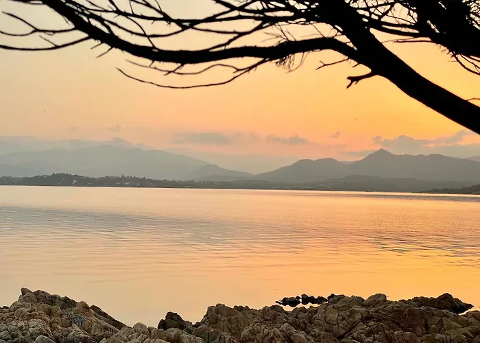 Punta Est Trilocale Meravigliosa Vista Mare * Капо-Кода-Кавальо