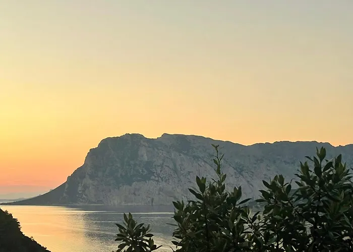 Punta Est Trilocale Meravigliosa Vista Mare *